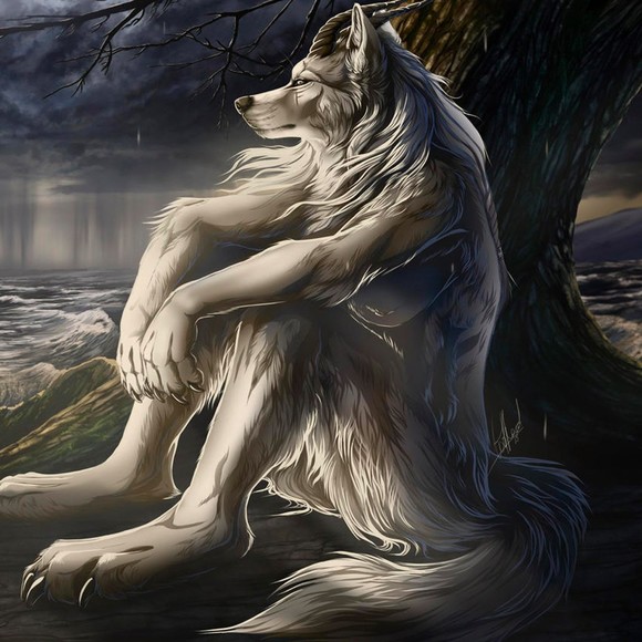 Meet your Posher, Hiram - Picture 1 of 1